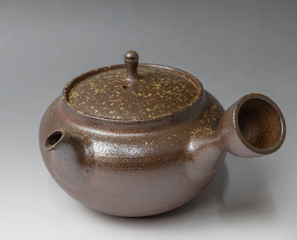 Banko teapot by Otsuki Shun - side view