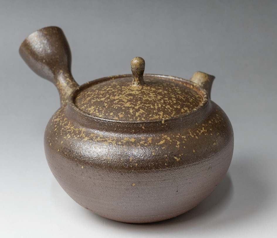 Banko teapot by Otsuki Shun - side view