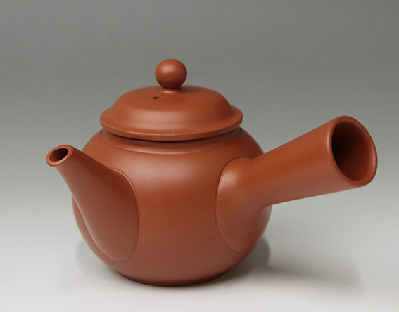 Tokoname teapot by Houryuu